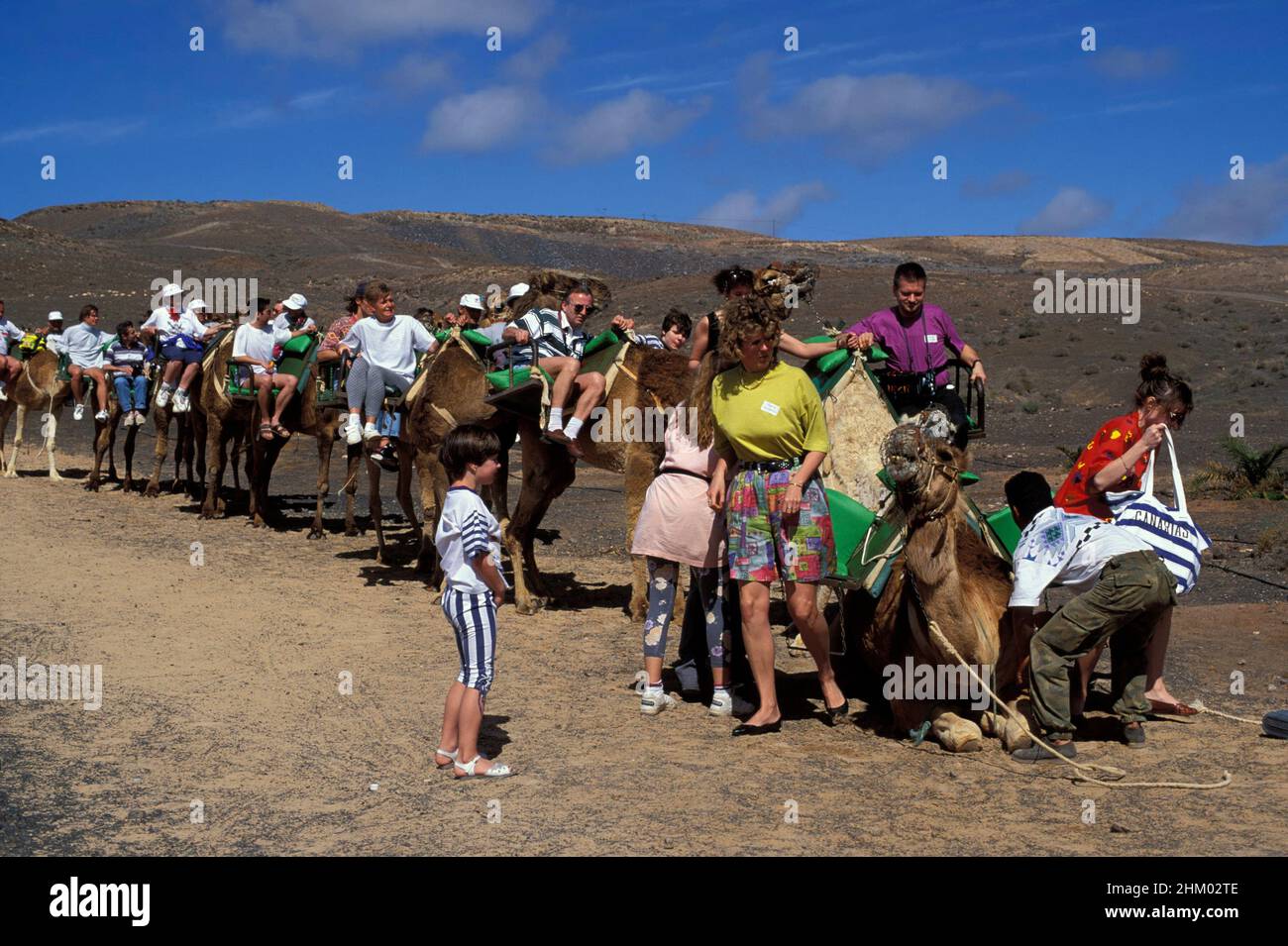 Camel Safari in Lajita, Fuerteventura, Canary Islands, Spain, Europe Stock  Photo - Alamy
