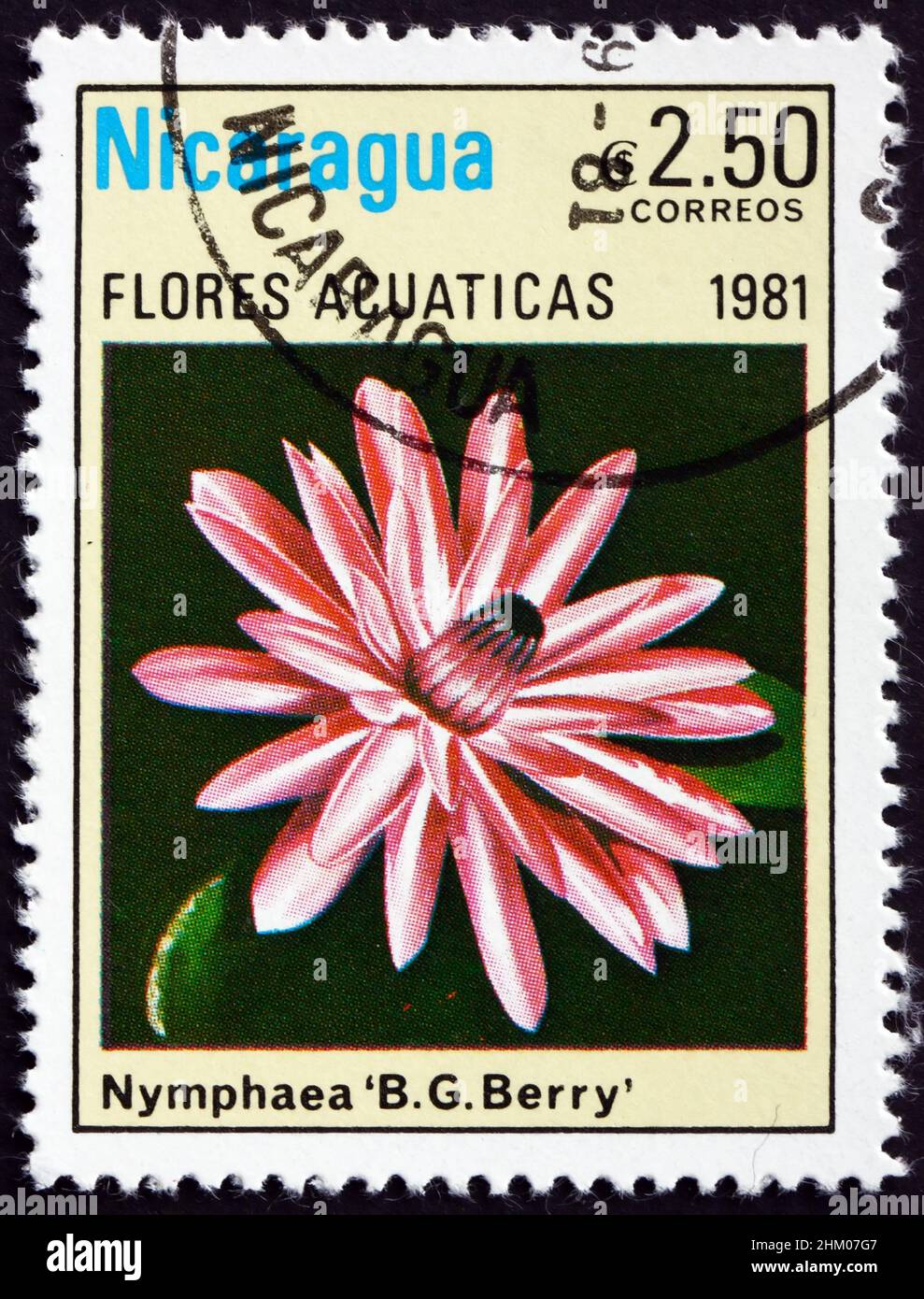 NICARAGUA - CIRCA 1981: a stamp printed in Nicaragua shows Water Lily Cultivar, BG Berry, Aquatic Flower, circa 1981 Stock Photo