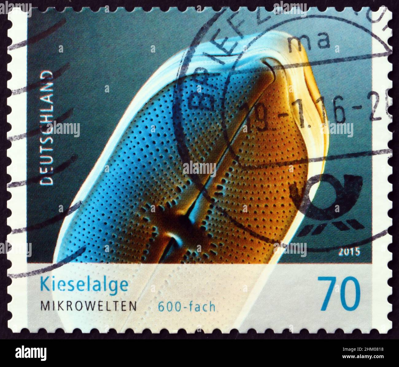 GERMANY - CIRCA 2015: a stamp printed in Germany shows diatom, microalgae found in the oceans, waterways and soils of the world, circa 2015 Stock Photo