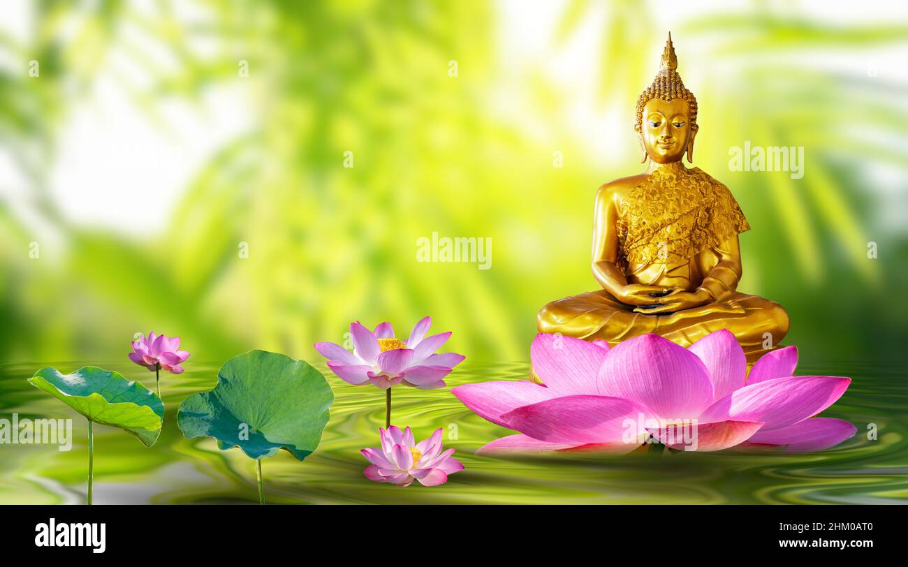 Buddha statue water lotus Buddha standing on lotus flower on orange  background Stock Photo - Alamy