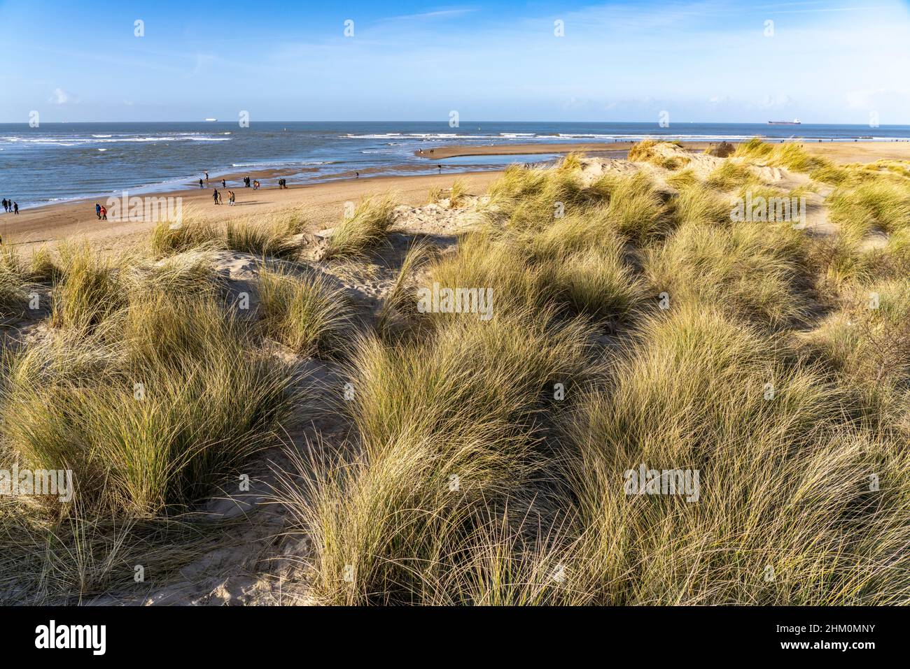 Strand des  Naturschutzgebiet Het Zwin an der Nordsee zwischen Belgien und den  Niederlanden  |   Beach of  the nature reserve Zwin at the North Sea c Stock Photo