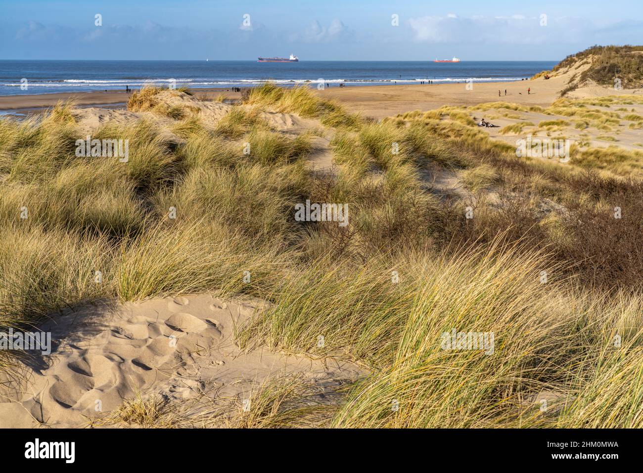 Strand des  Naturschutzgebiet Het Zwin an der Nordsee zwischen Belgien und den  Niederlanden  |   Beach of  the nature reserve Zwin at the North Sea c Stock Photo