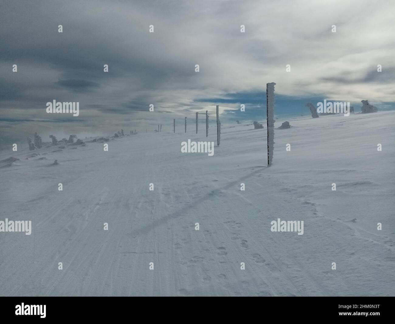 Wooden snow stakes dotting the cross country skiing trail in the