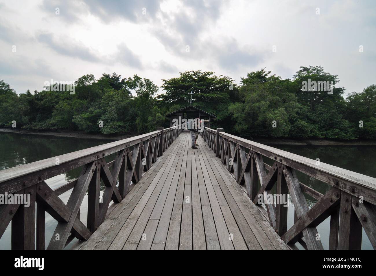 Bird watching and photography in Singapore Stock Photo Alamy