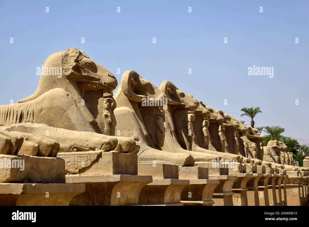 Small alley of sheep-headed sphinxes in front of the Karnak Temple. Close-up. Karnak Temple is famous Egyptian landmark with hieroglyphics and decayed Stock Photo