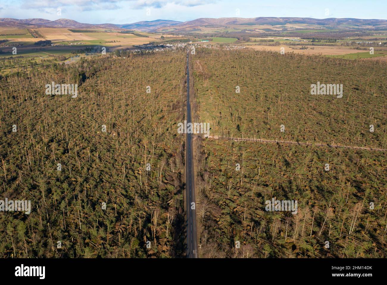 Aerial view from drone of damage to woodland at Edzell from Storm Corrie on 31st January 2022, Angus, Scotland, UK Stock Photo