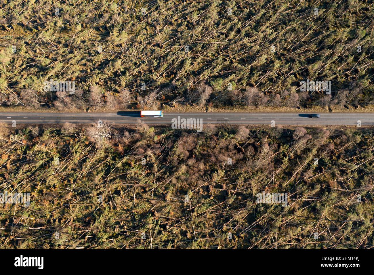 Aerial view from drone of damage to woodland at Edzell from Storm Corrie on 31st January 2022, Angus, Scotland, UK Stock Photo