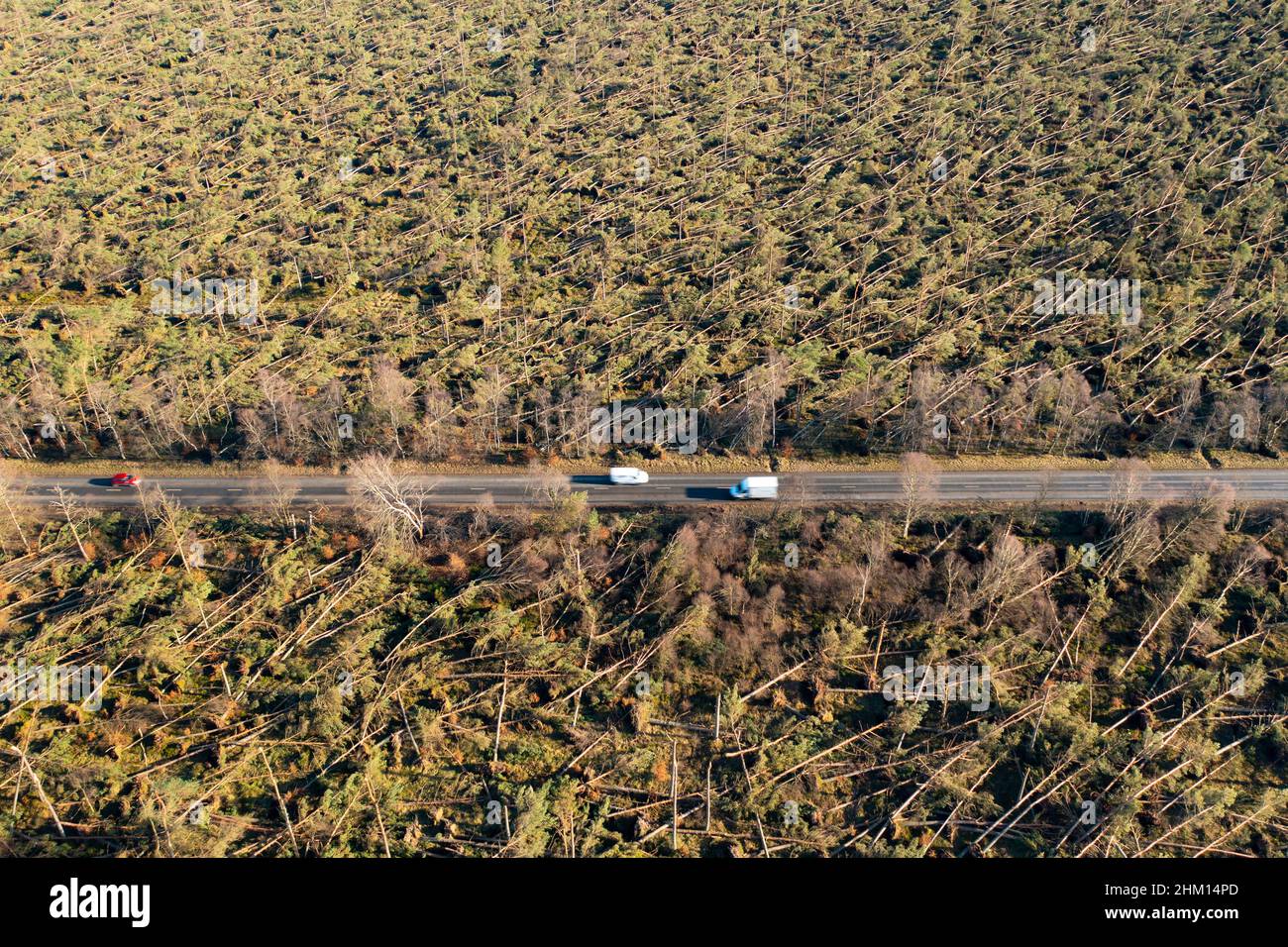 Aerial view from drone of damage to woodland at Edzell from Storm Corrie on 31st January 2022, Angus, Scotland, UK Stock Photo
