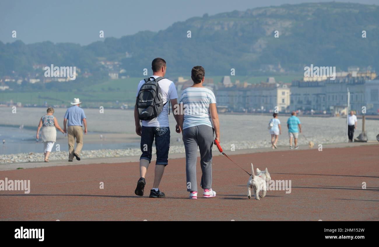 DOG WALKERS ON THE SEAFRONT AT LLANDUDNO NORTH WEST WALES RE EXERCISE FITNESS HEALTH HEALTHY LIFESTYLE HOLIDAYS COASTAL LIVING ETC UK Stock Photo