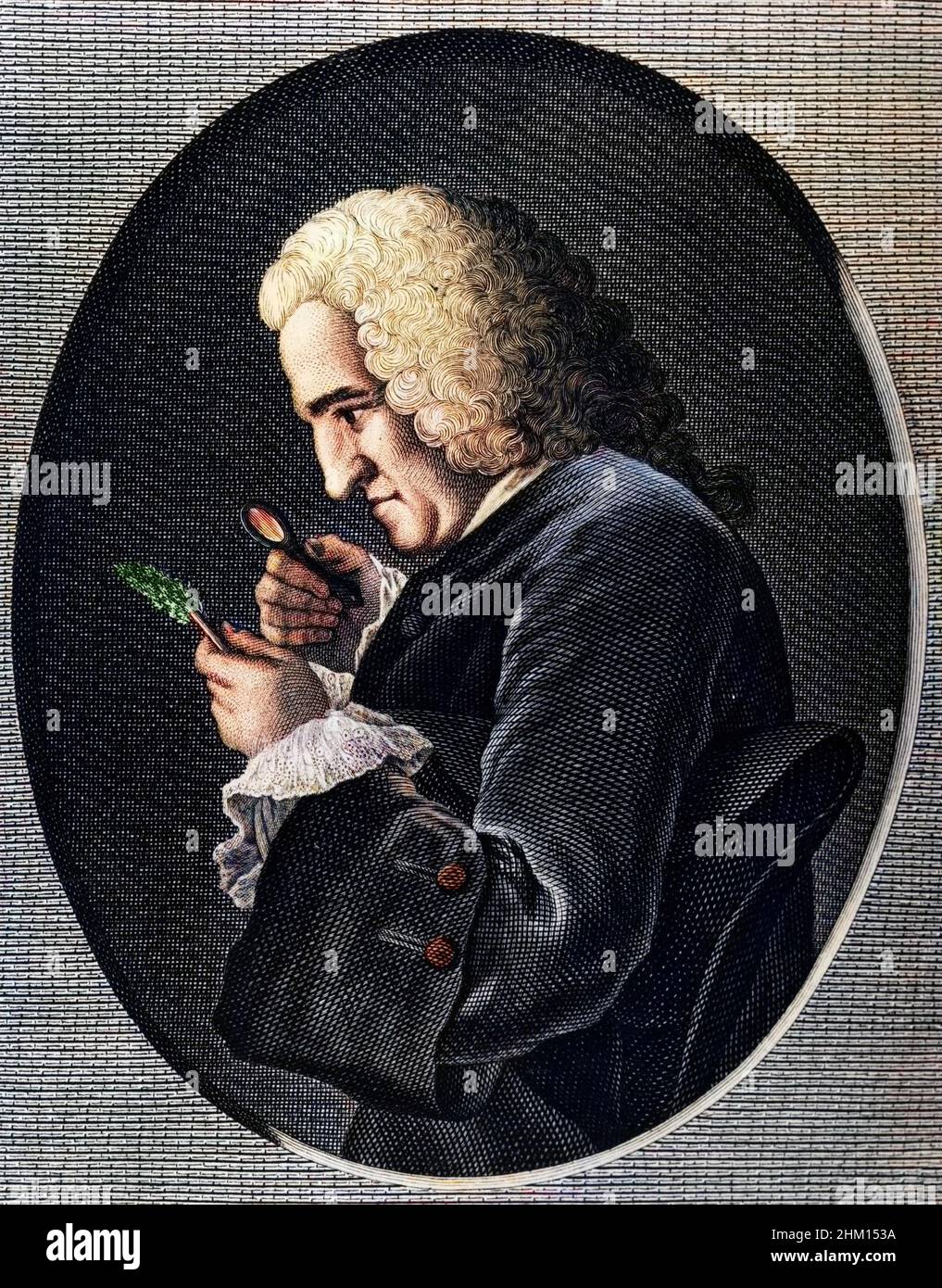 Portrait of Bernard de Jussieu (1699-1777), French naturalist. Stock Photo
