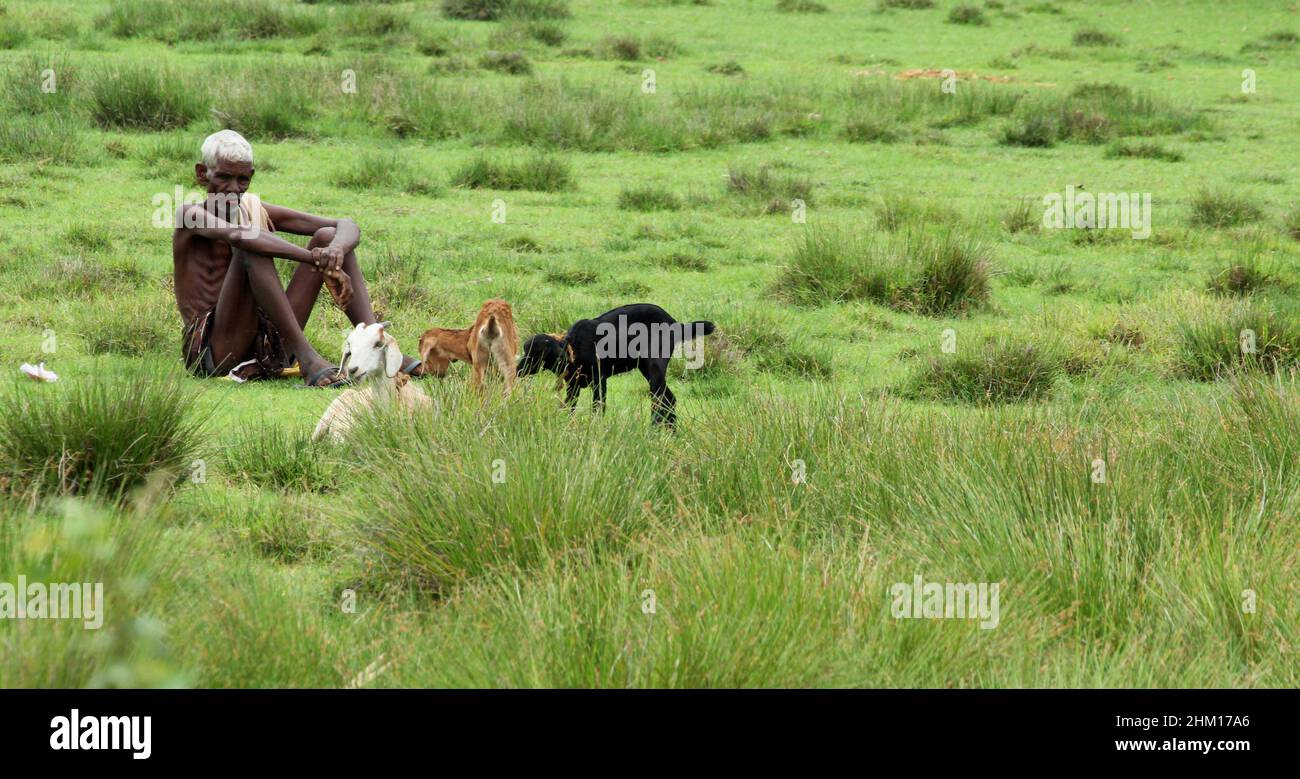 Tamil village old man hi-res stock photography and images - Alamy