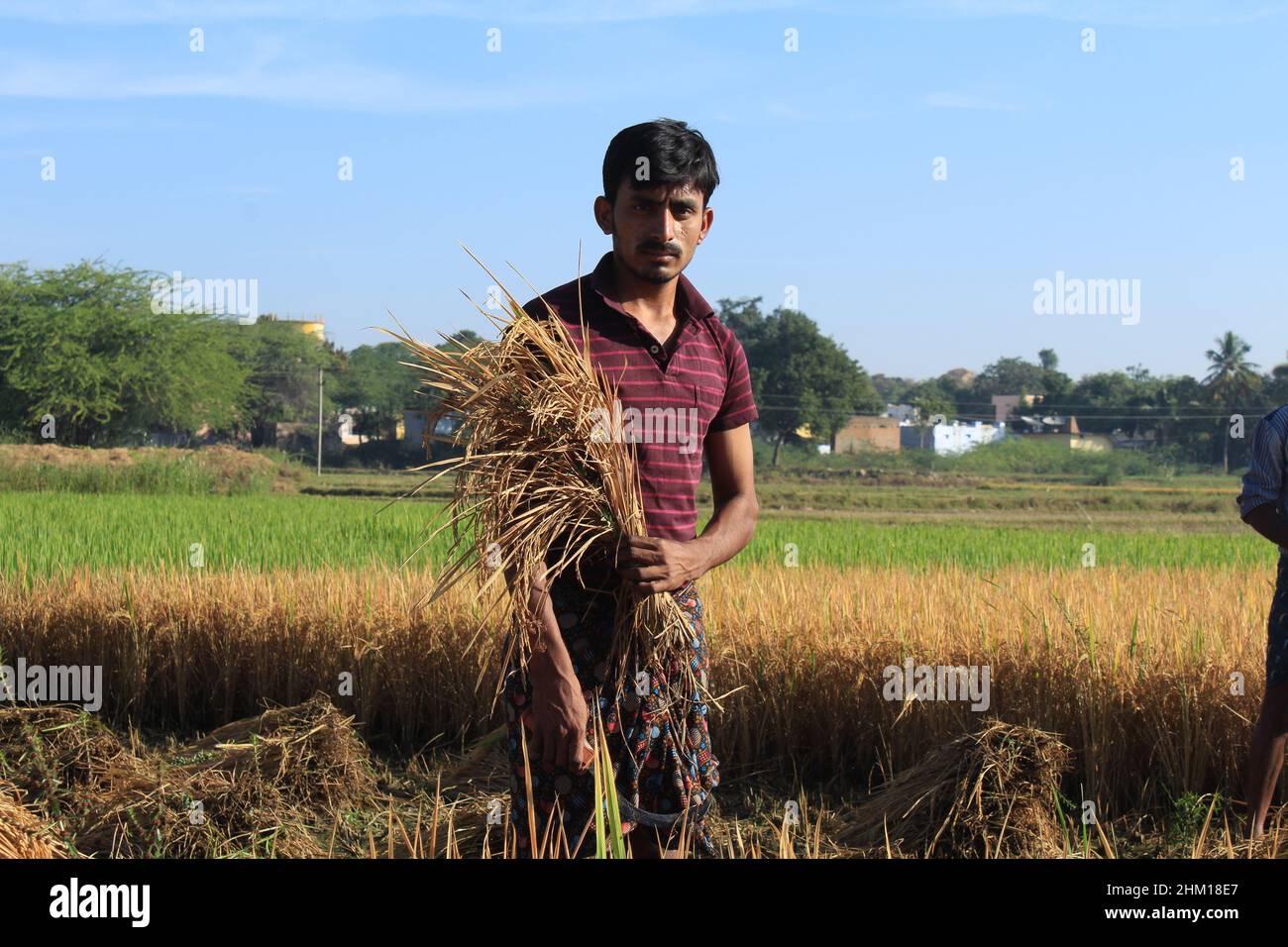 Tamil village old man hi-res stock photography and images - Alamy