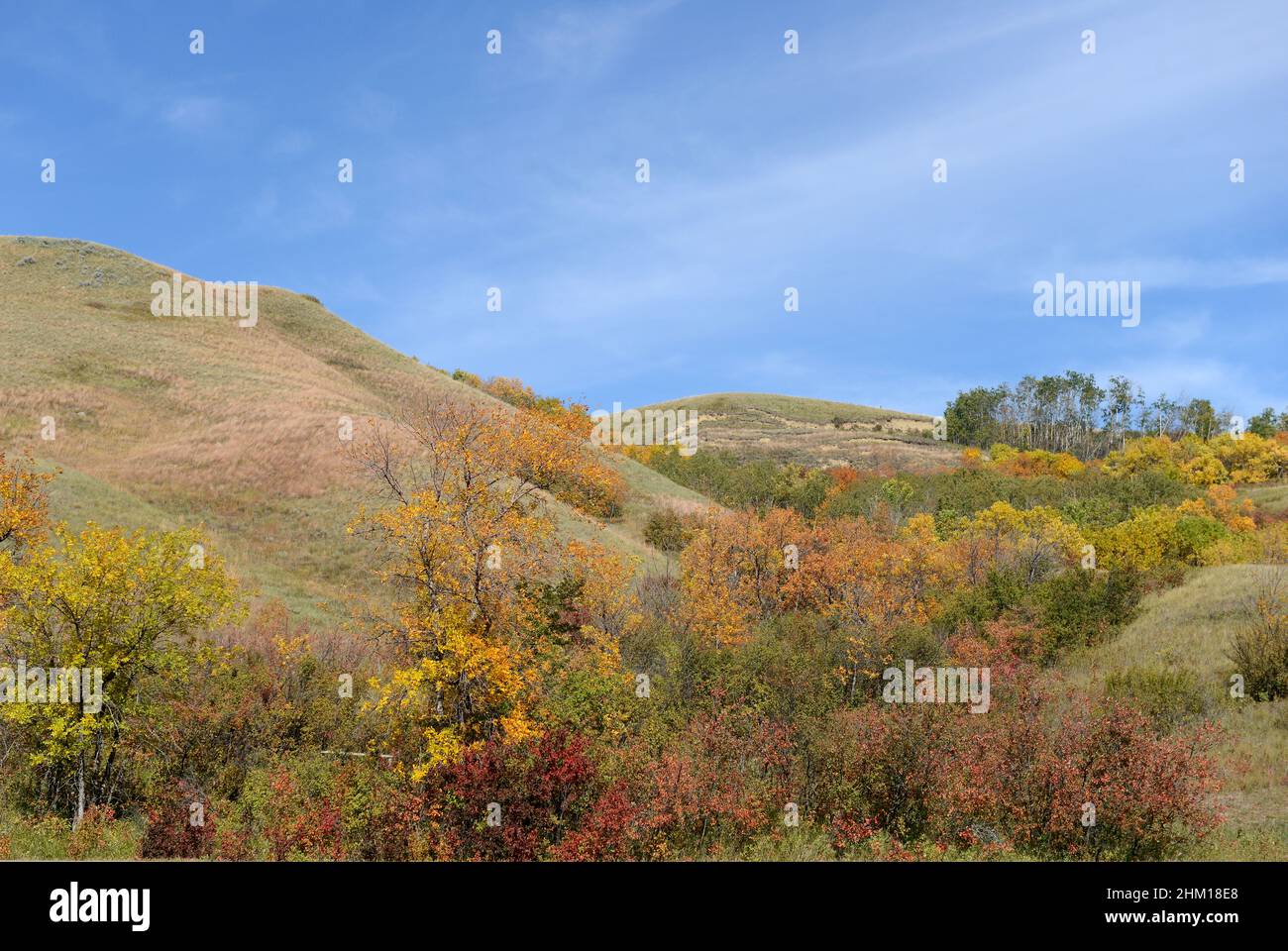 Beautiful fall landscape with hills, trees and colours Stock Photo