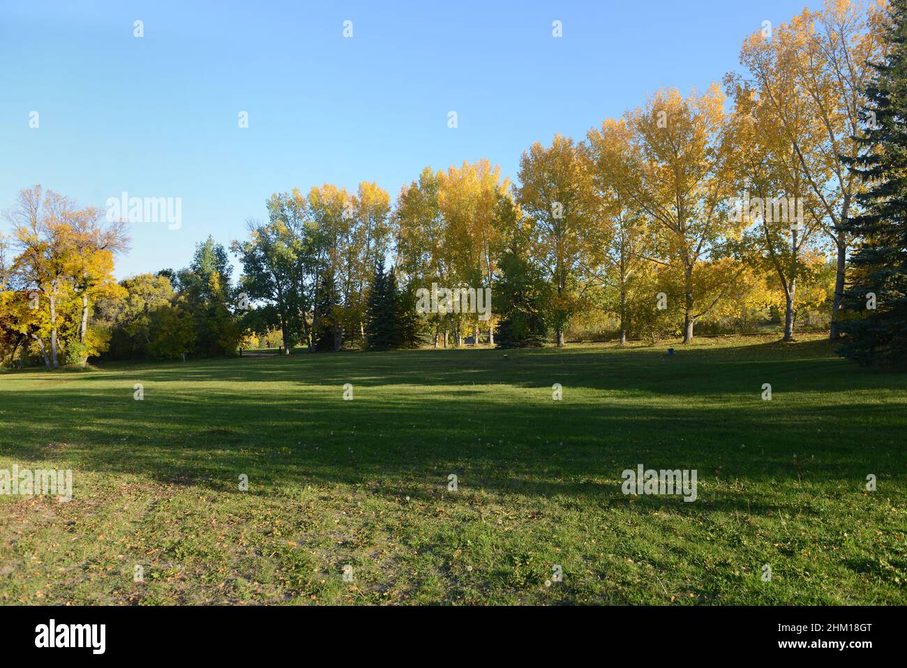 Meadow with trees in full fall colours Stock Photo