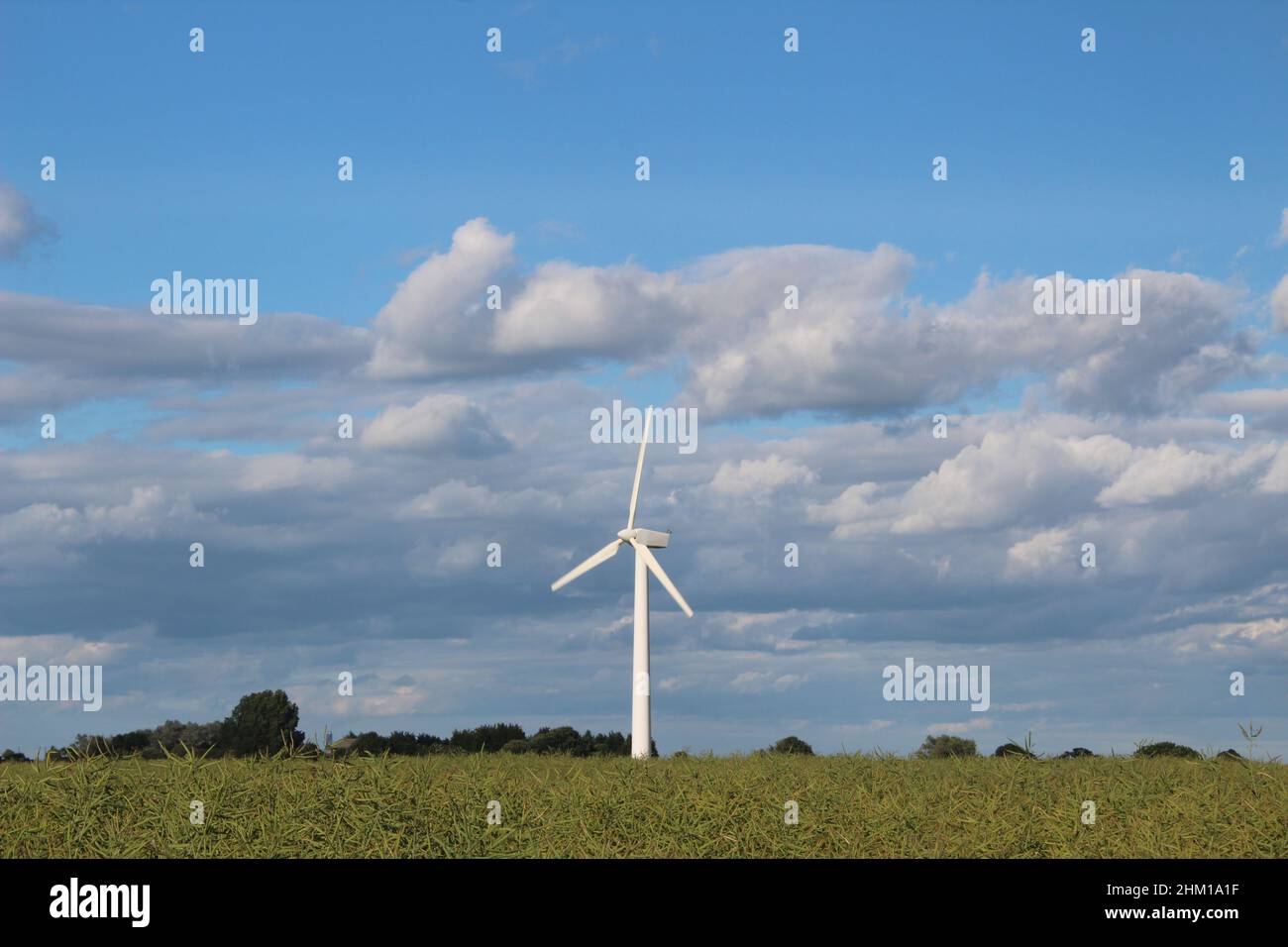 A wind turbine producing clean sustainable electricity in a field against  a blue cloudy sky Stock Photo