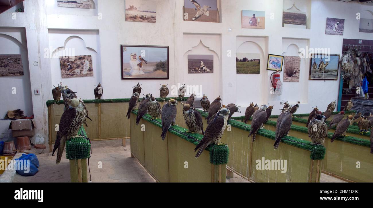 Falcon market in Souq Waqif Doha QATAR Stock Photo