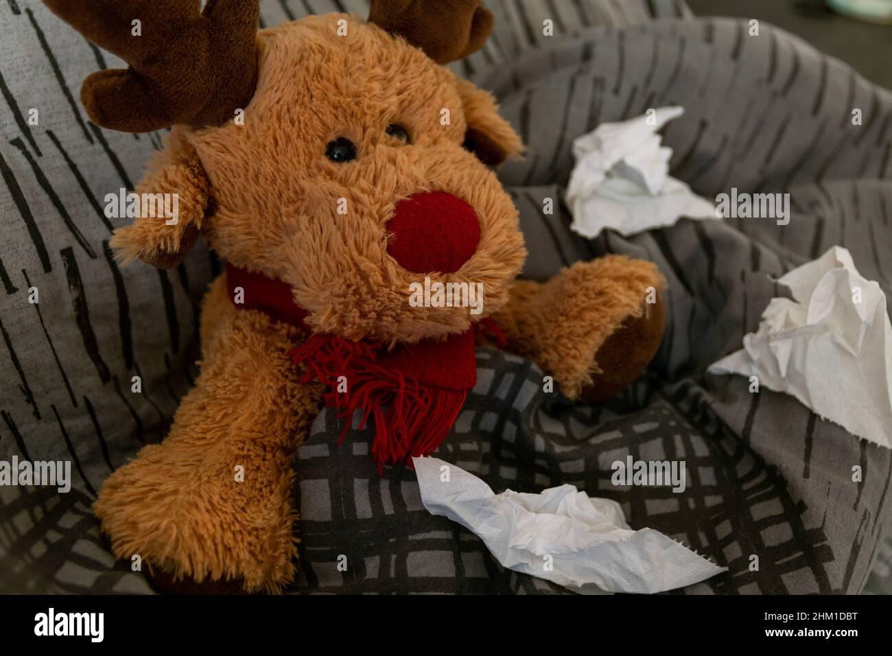 A cute reindeer Teddy bear tucked up in bed with a cold, flu, Covid, illness with used tissue toilet roll around the blanket. Fighting illness at home Stock Photo