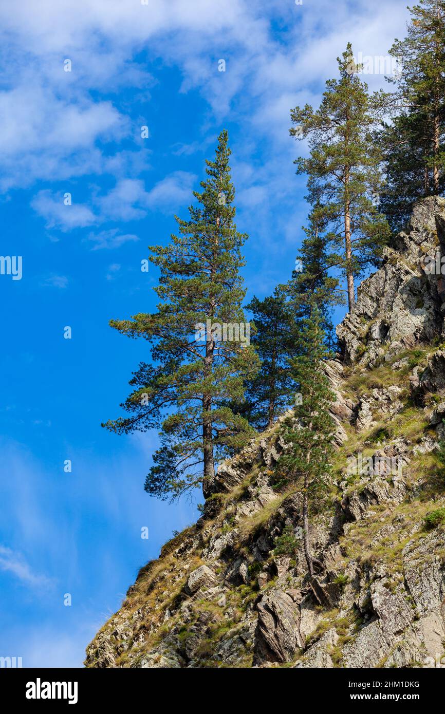The forested mountains against the blue sky. Stock Photo Alamy