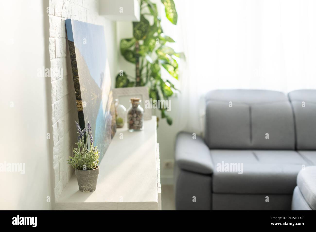 Dieffenbachia or Dumb cane plant in a white flower pot on a white table in daylight room with bookcase, minimalist and scandinavian style. Stock Photo