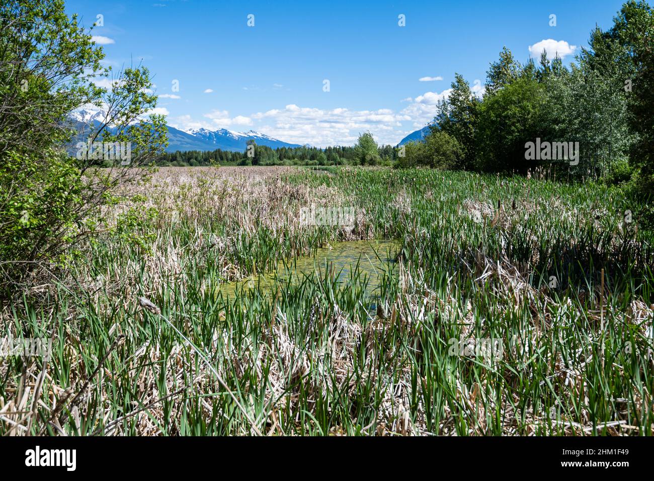 Jackman flats provincial park hires stock photography and images Alamy