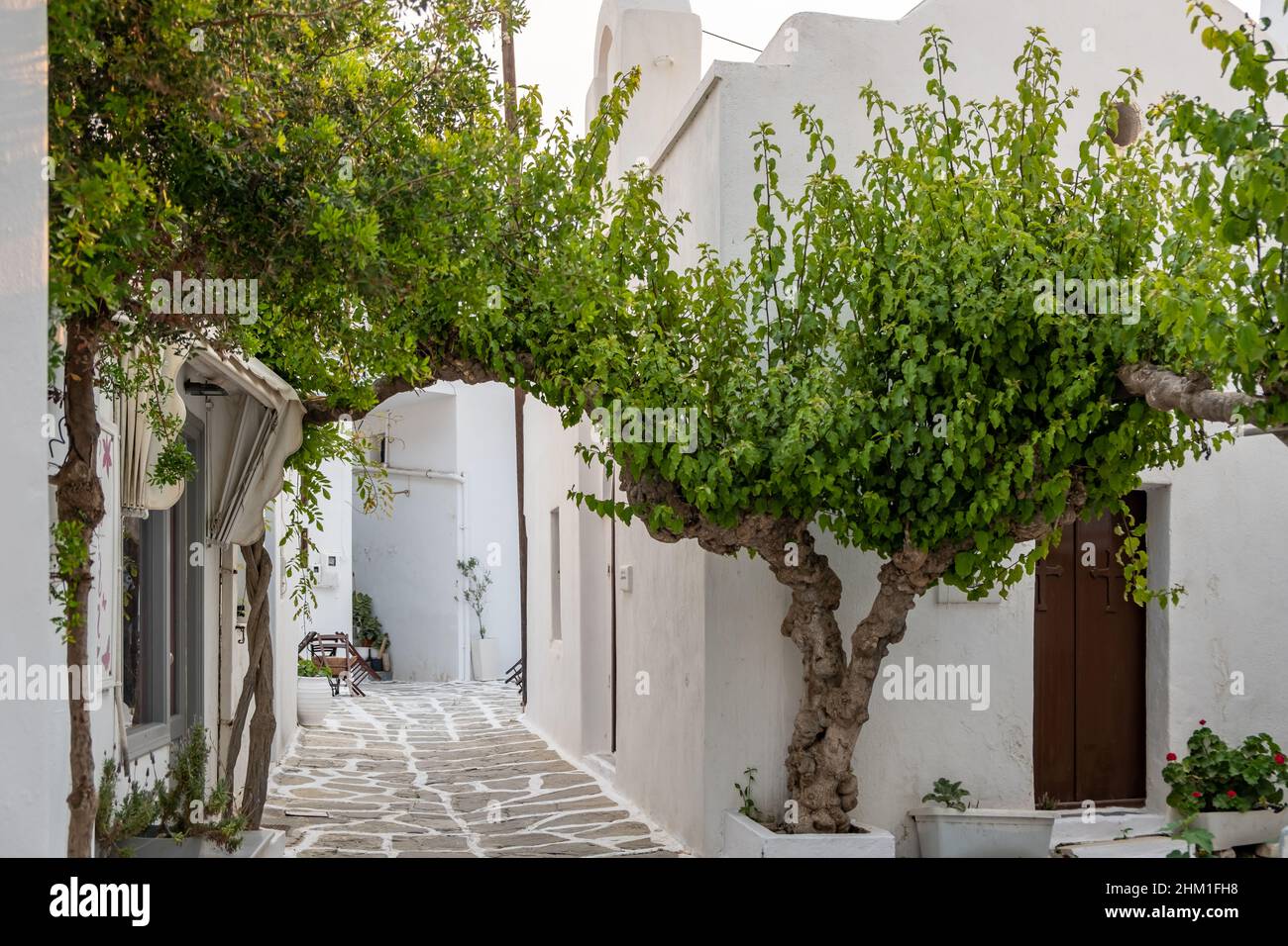 Paros island outdoor cafe at Naousa village religious destination Greece. Wooden empty table and chair at church cobblestone yard, pot with tree summe Stock Photo