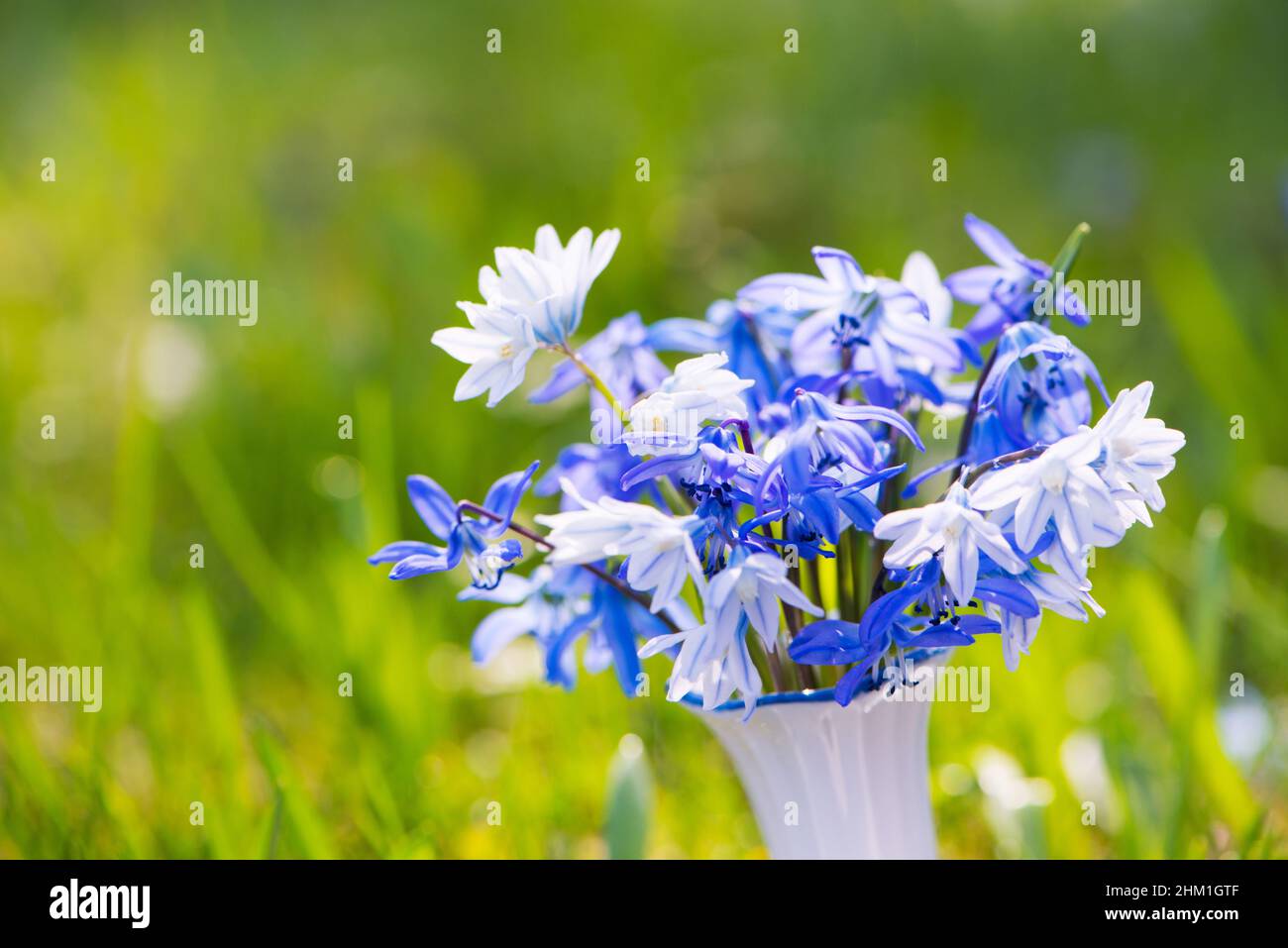 Little spring flower bouquet in a meadow Stock Photo Alamy