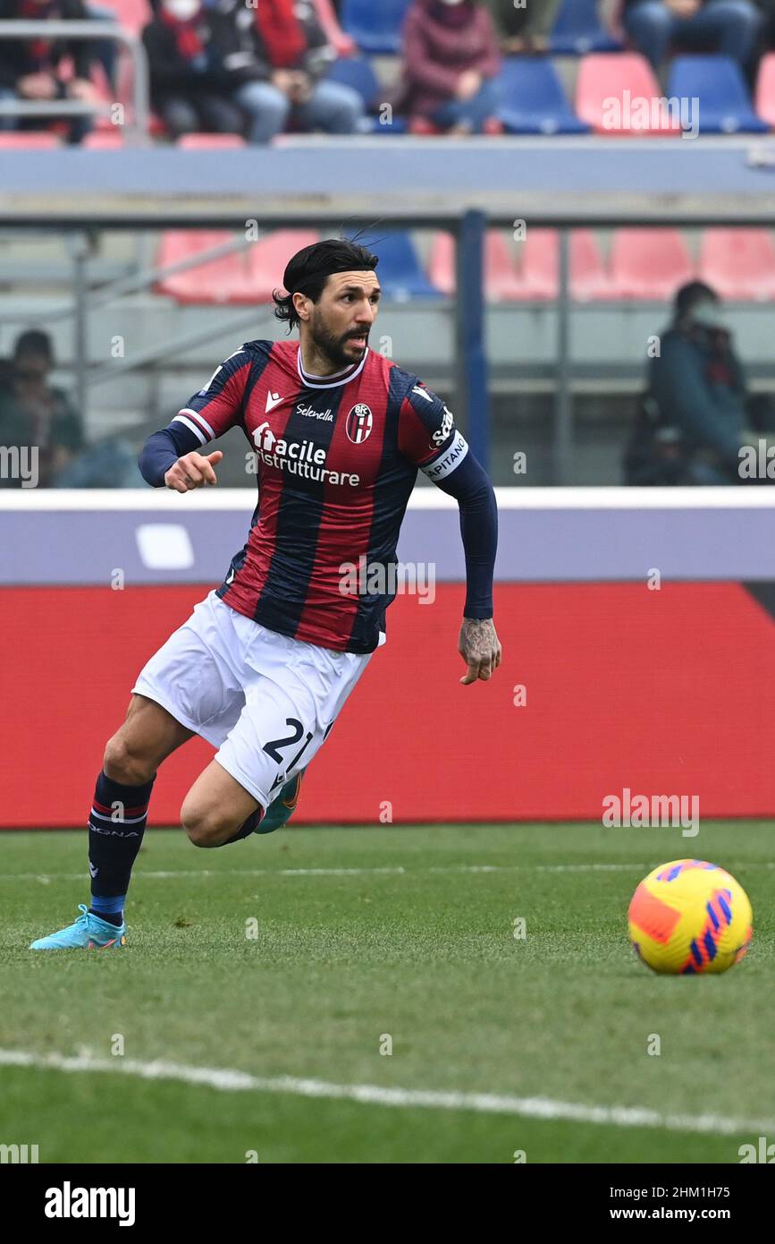 Bologna fc captain hires stock photography and images Alamy