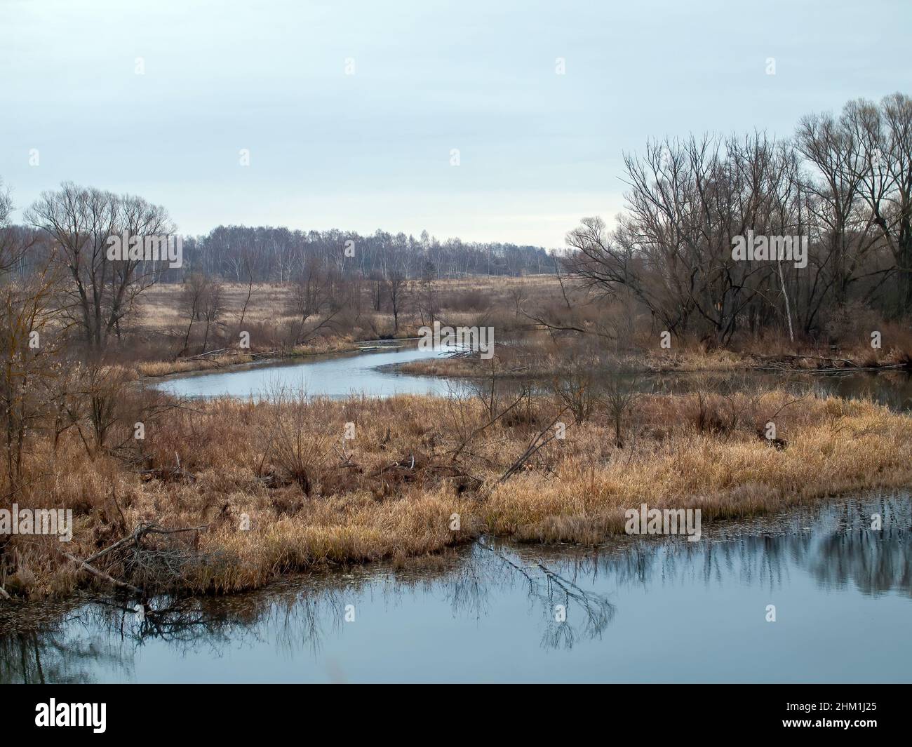 the bank of a small forest river on a cloudy day, in autumn Stock Photo ...