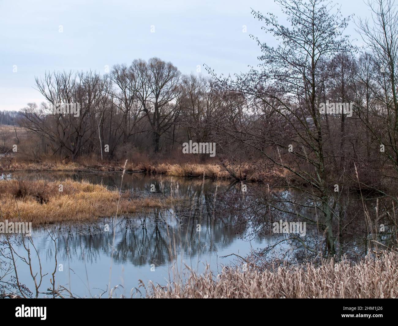 the bank of a small forest river on a cloudy day, in autumn Stock Photo ...