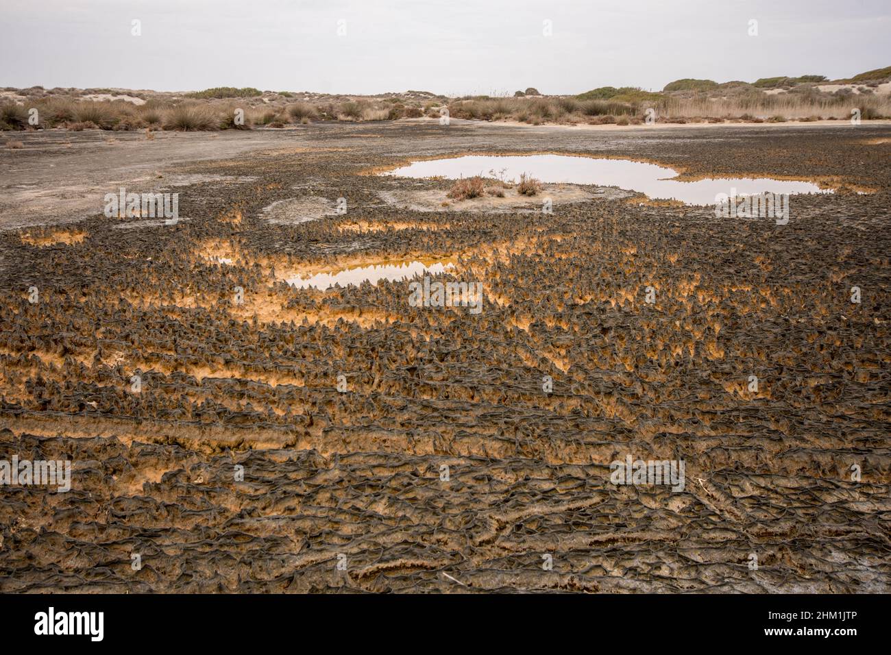 Punta Entinas-Sabinar, nature reserve, with temporarily lagoons Almeria, Spain. Stock Photo