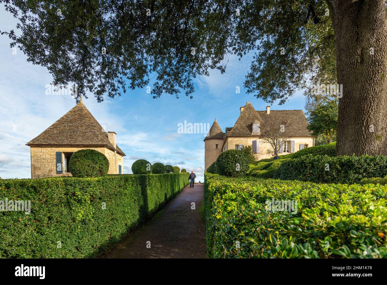 Vezac, France - October 31, 2021: Unrecognizable visitor walking up a path lined with clipped boxwood hedges in the garden of the Marqueyssac Castle i Stock Photo