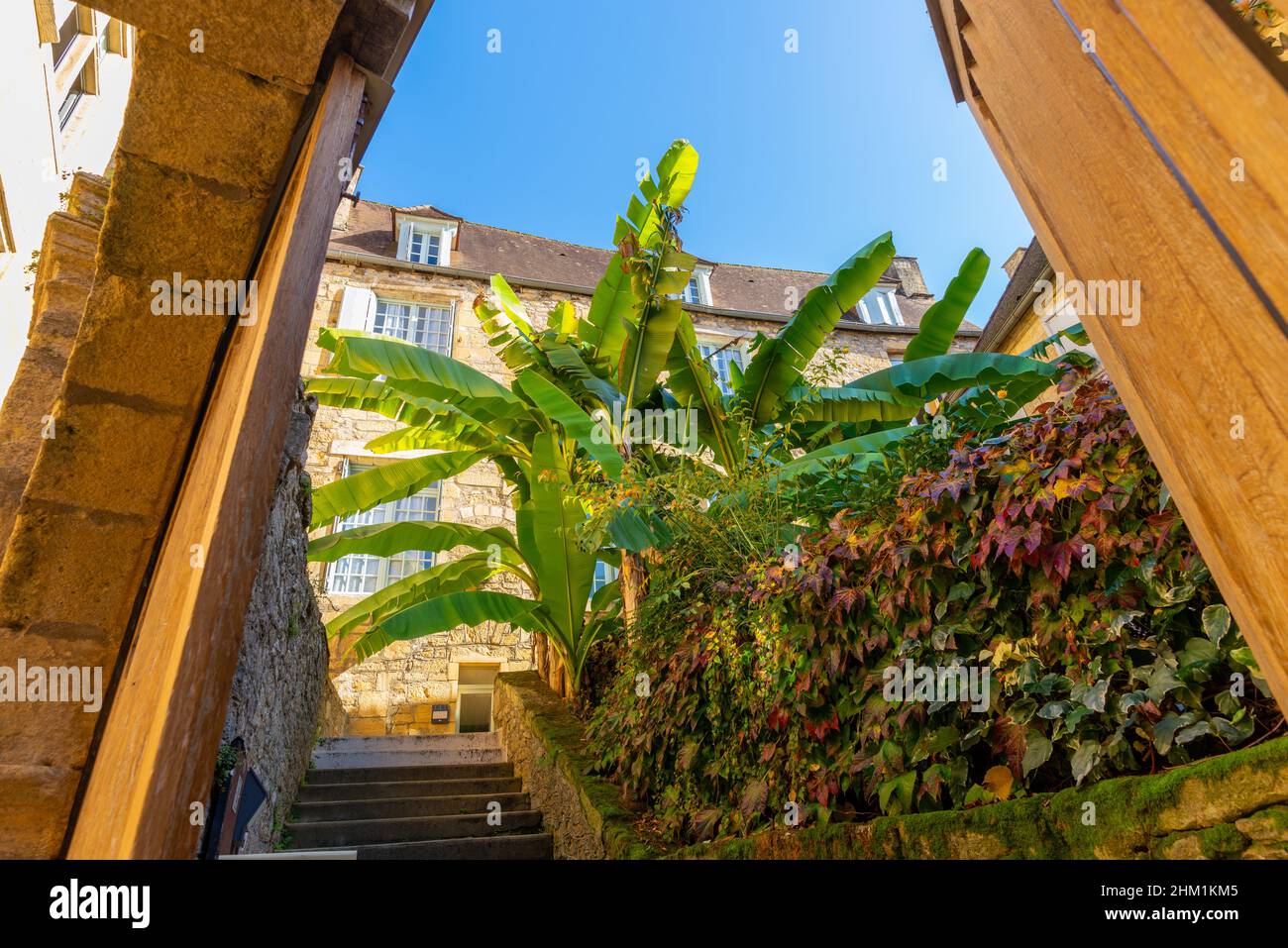 The entrance of a mansion with banana leaves in a beautiful french yellow stone town of Sarlat-la-Caneda located in Perigord, France, taken on a sunny Stock Photo