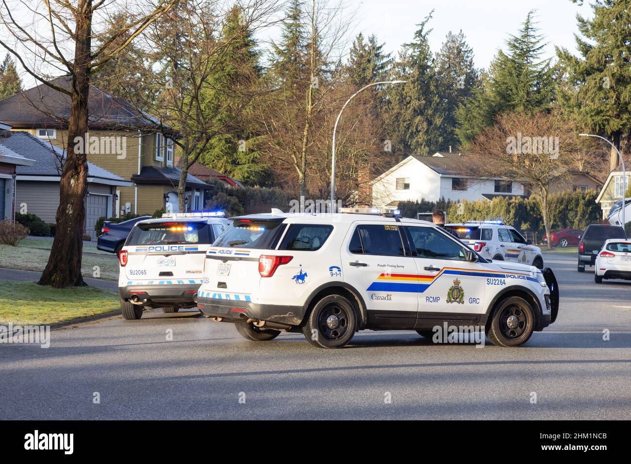 Police and Swat Team are arresting a man for alleged Robery Stock Photo ...