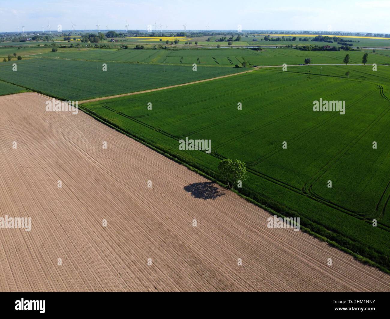 Agriculture lowland in spring, aerial view, Zulawy Wislane, Poland Stock Photo