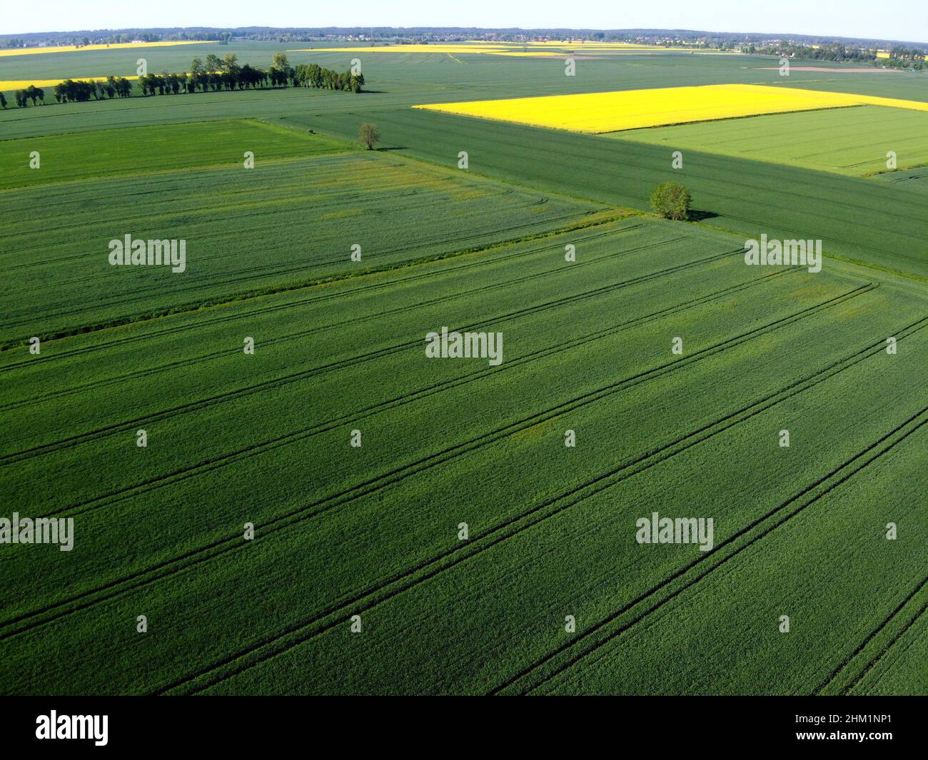 Agriculture lowland in summer, aerial view, Zulawy Wislane, Poland Stock Photo
