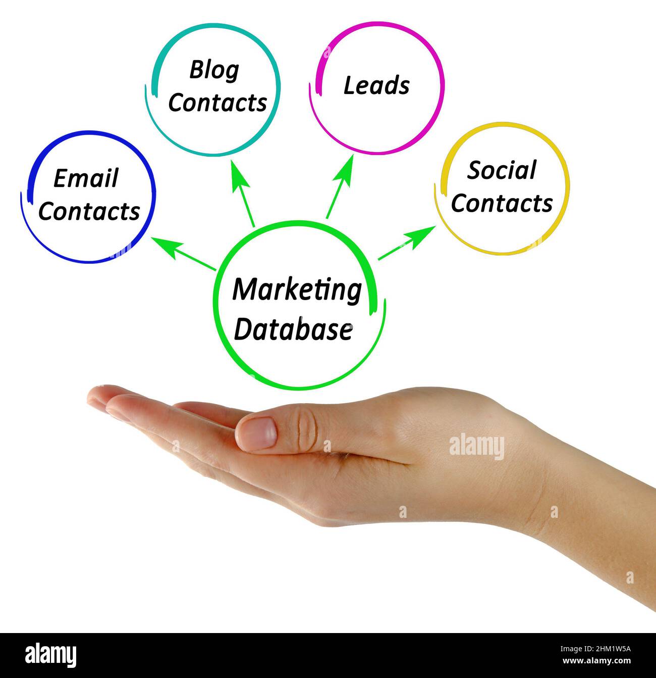 Four Uses of Marketing Database Stock Photo - Alamy