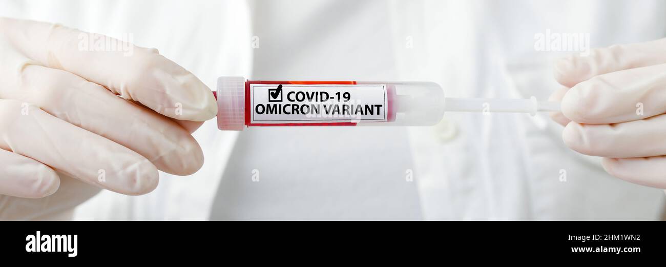 Omicron positive text on blood sample tube positive with New Omicron variant covid 19 card in doctor hands in white coat and gloves. Long web banner Stock Photo