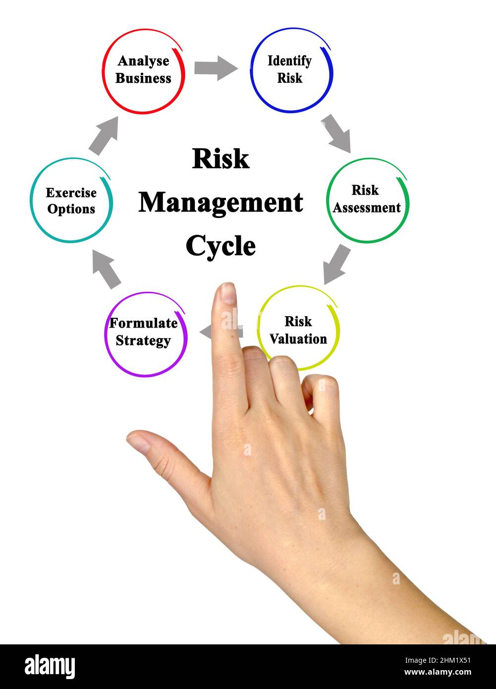 Components of Risk Management Cycle Stock Photo Alamy