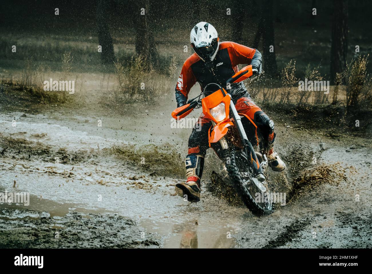 ktm exc 250