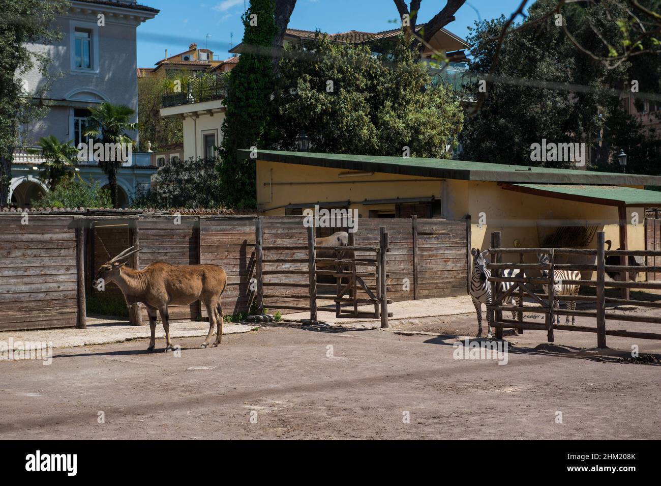Rome, Italy 17/04/2014: Zoo. © Andrea Sabbadini Stock Photo
