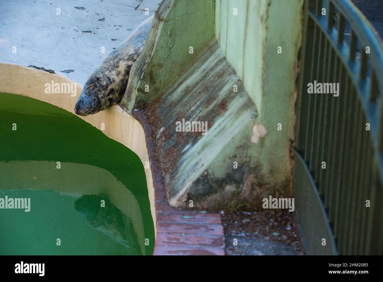 Zoo animali hi-res stock photography and images - Alamy