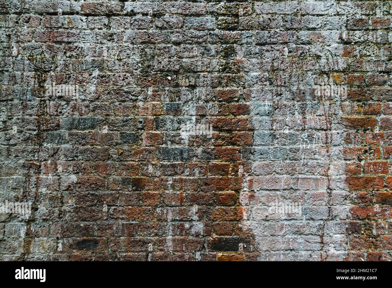 weathered brick wall with moss growing out Stock Photo