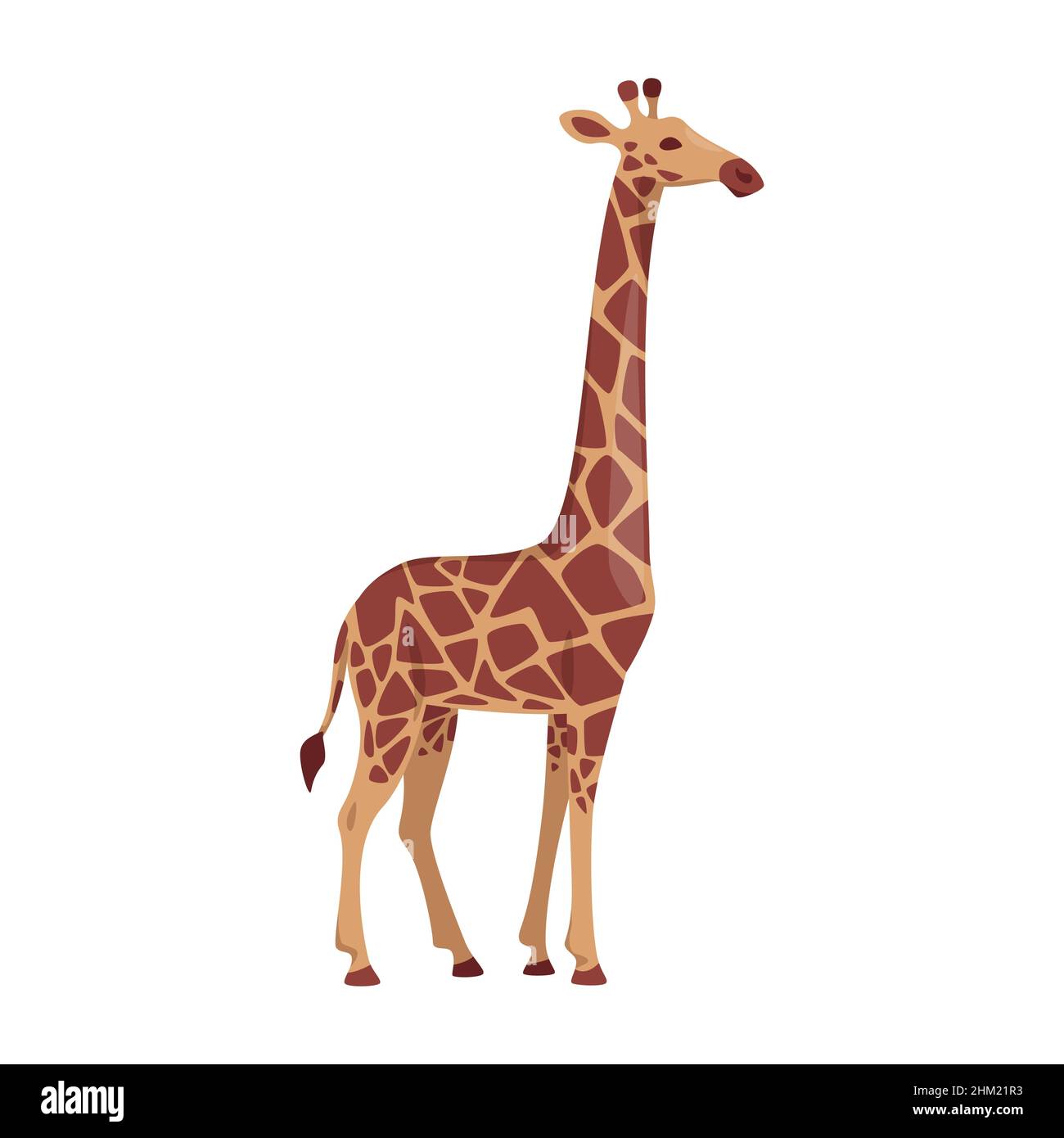 Vector cartoon style illustration of a giraffe  Stock Vector