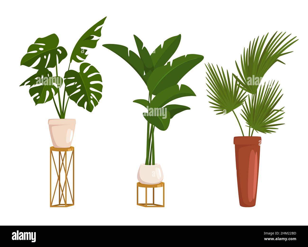 Vector cartoon style set of potted plants Stock Vector