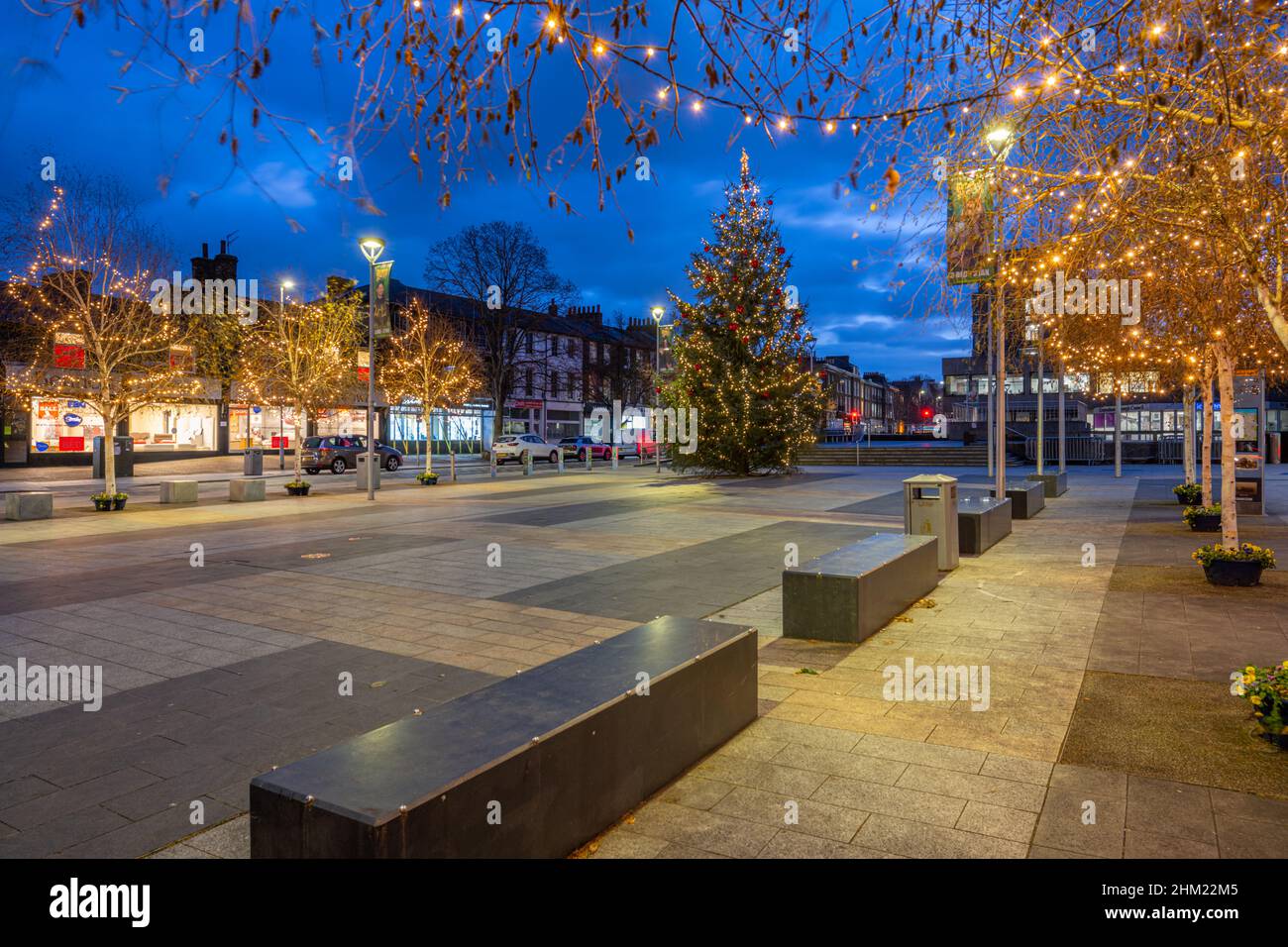 Christmas tree and Christmas lights in Gravesend Community Square