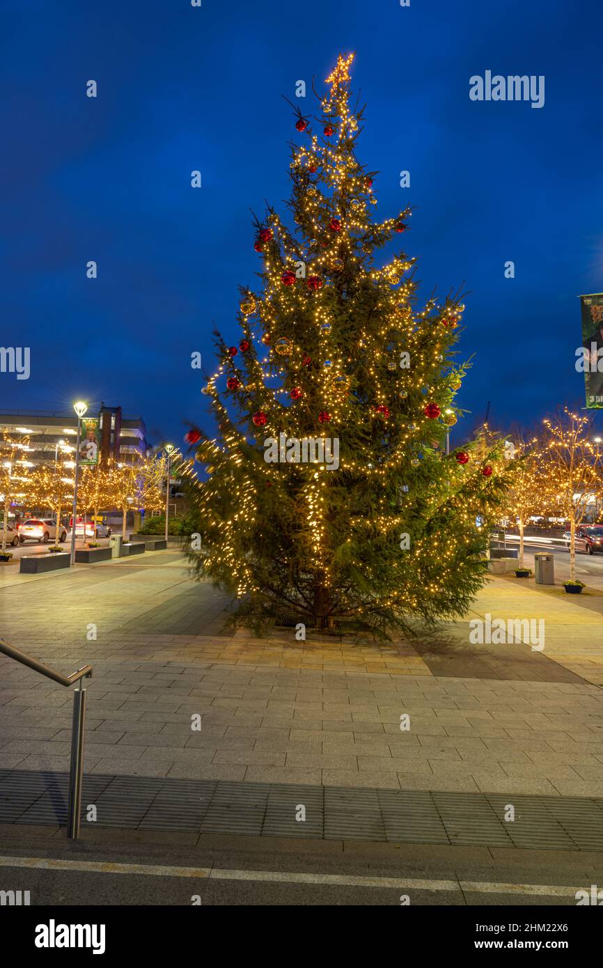 Christmas tree and Christmas lights in Gravesend Community Square