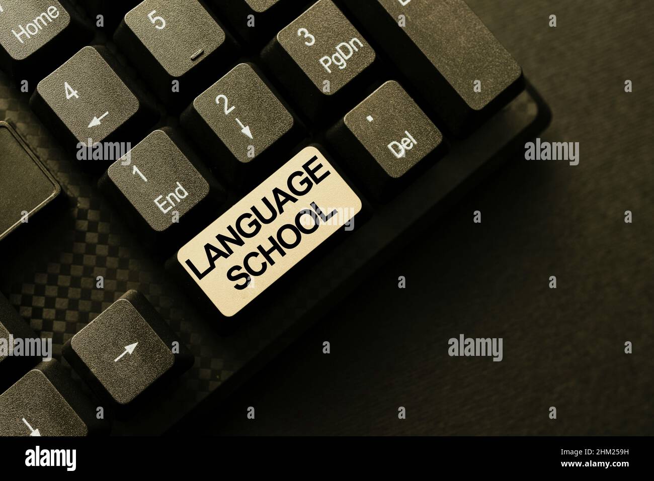 Writing displaying text Language School. Business concept educational institution focusing on foreign languages Typing Program Code Script, Abstract Stock Photo