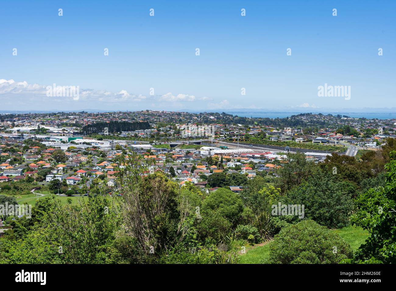 A view of houses in the Auckland suburb of Mt Roskill as viewed from Owairaka Domain Stock Photo