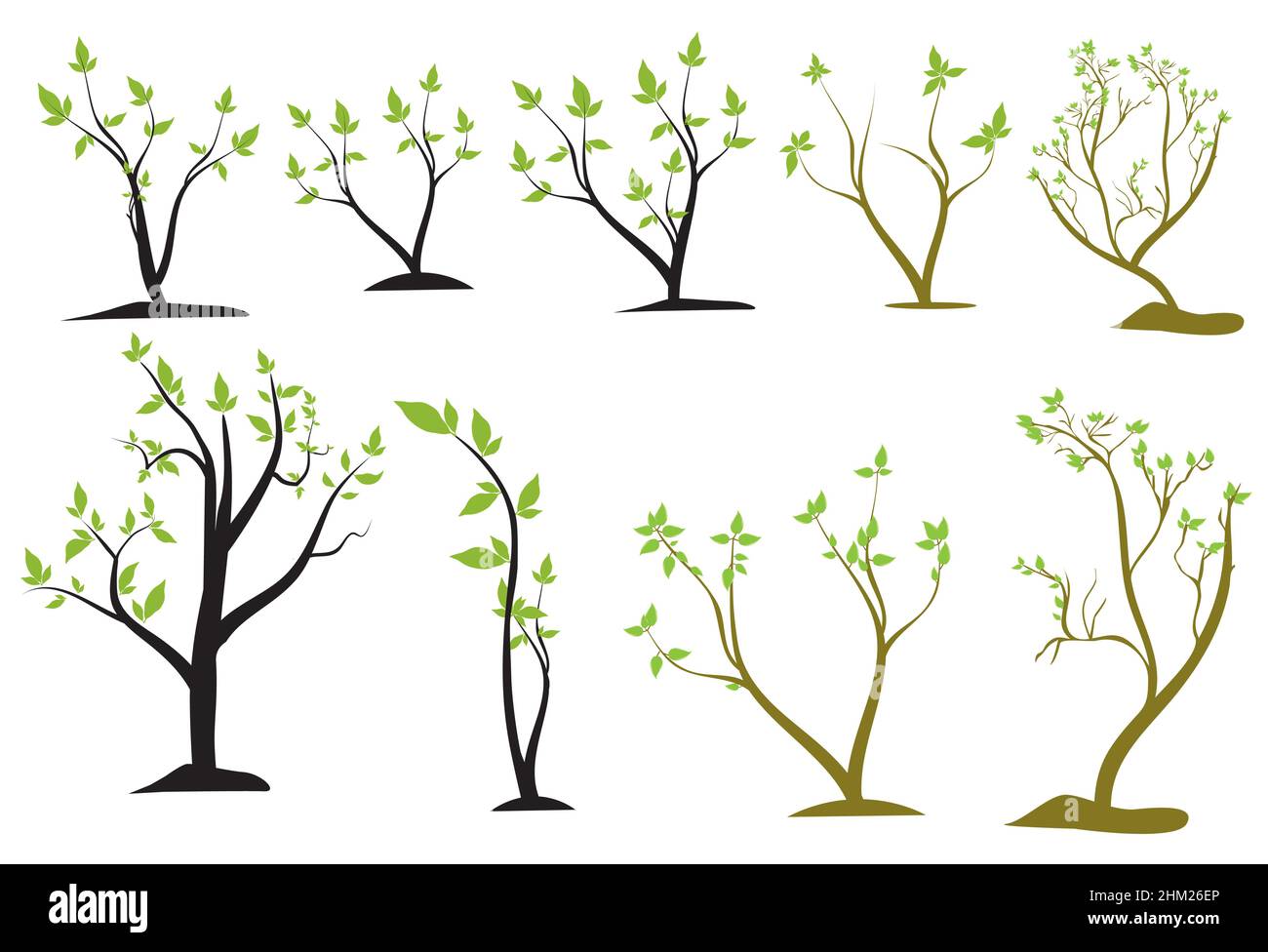 a set of different vector trees in brown and black trunks Stock Vector