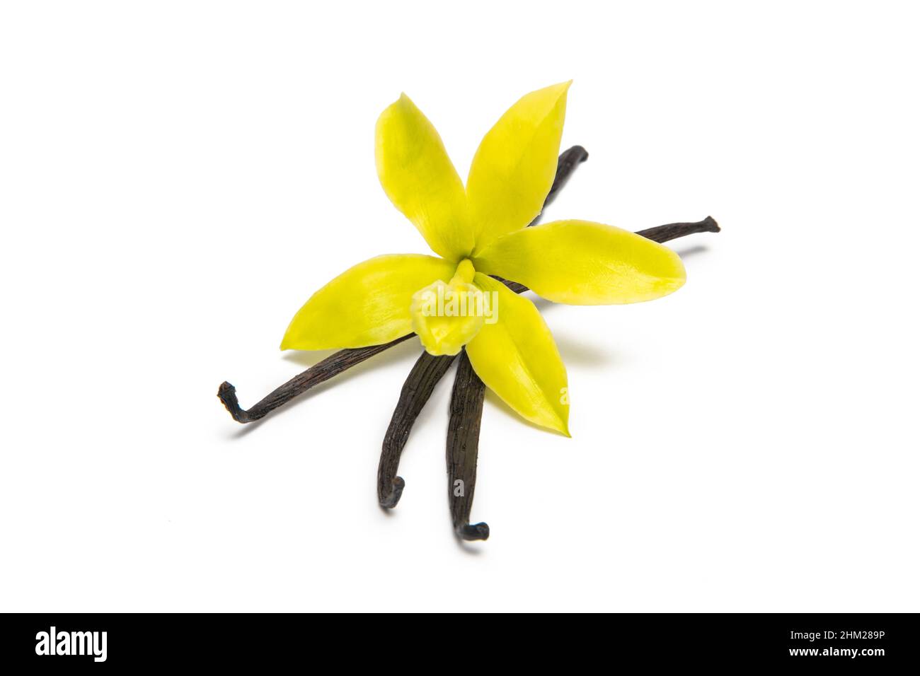 Vanilla pods and original orchid flower isolated on white Stock Photo